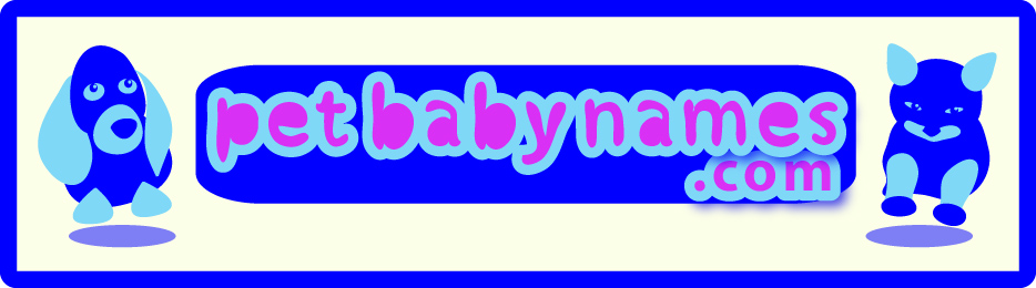 Logo Design by Andrew Coyle for BabyNames.com | Design #55112