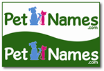 Design de Logo par Stellar Designs pour BabyNames.com | Design : #54989