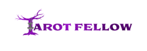 Logo Design by Stera