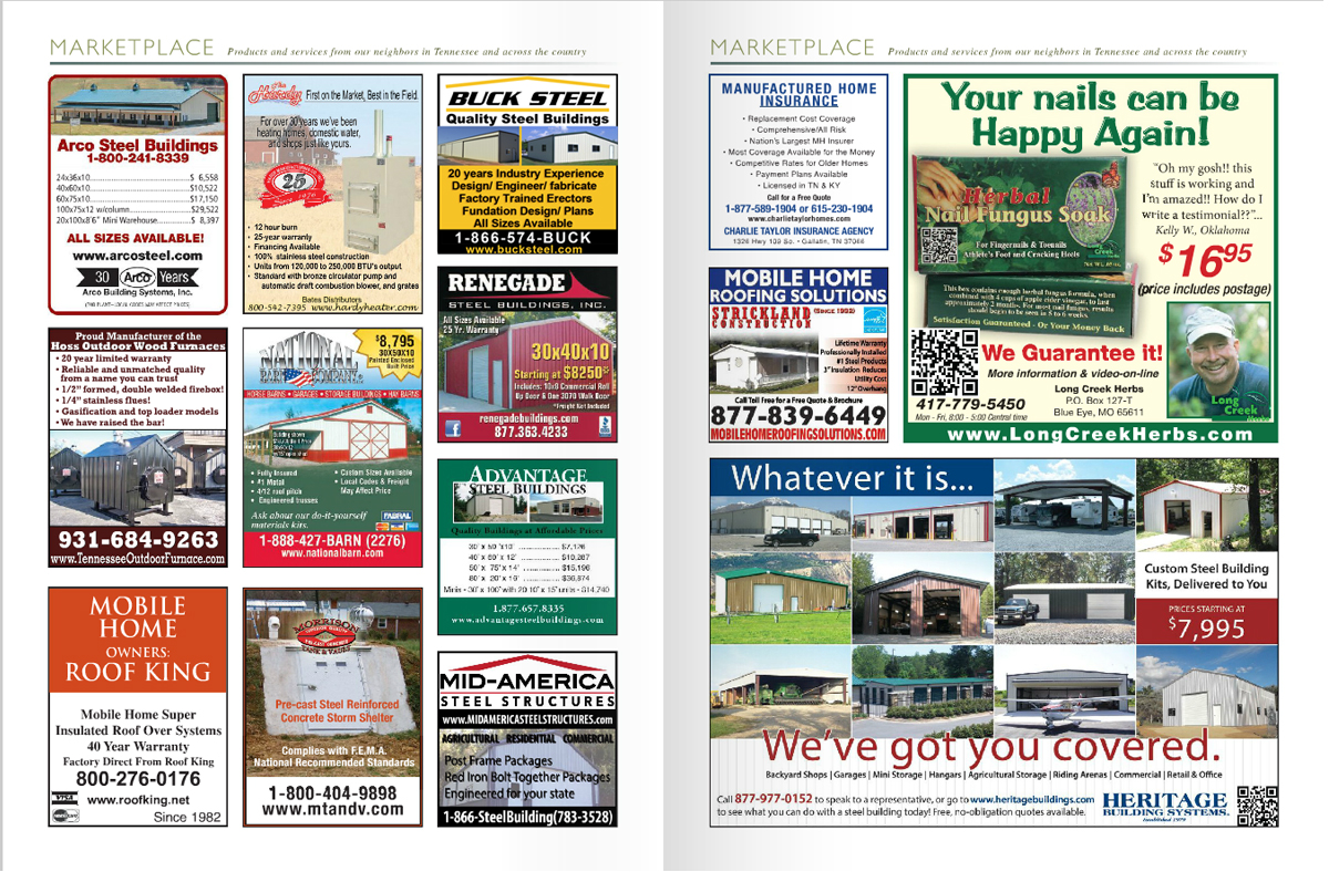 Advertisement Design by Anna  for this project | Design #2900629
