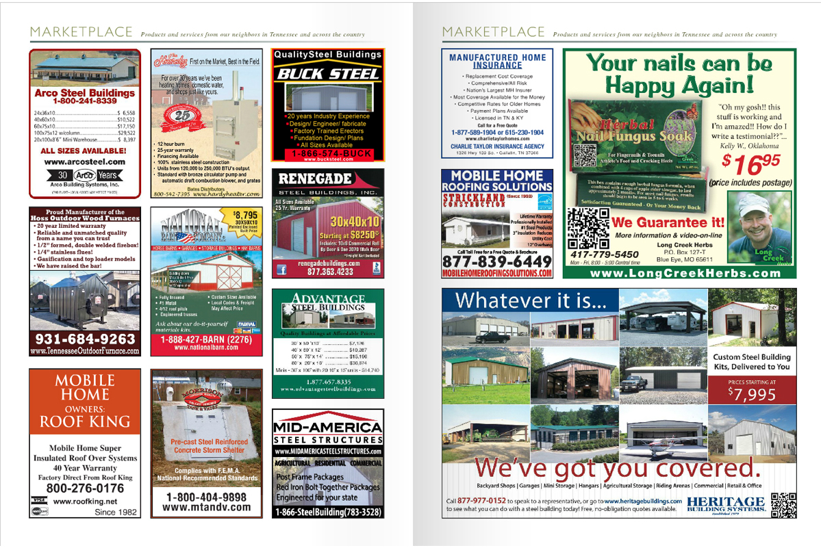 Advertisement Design by Anna  for this project | Design #2905149