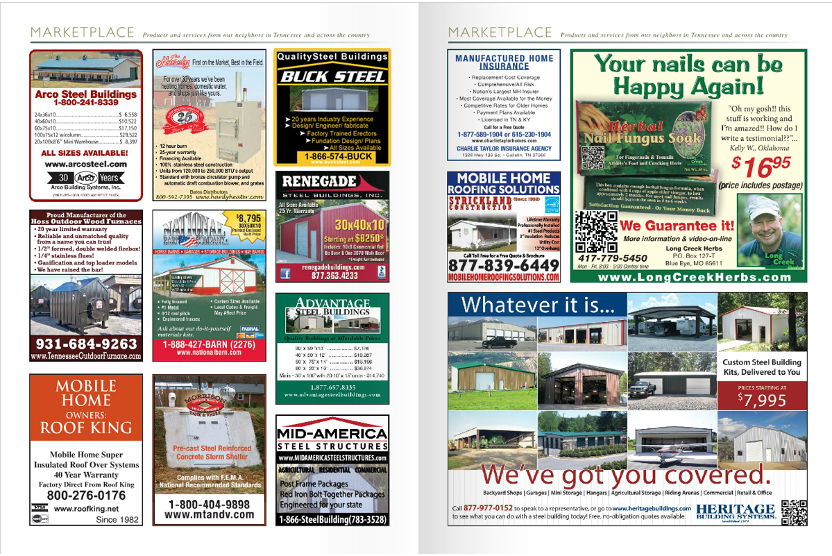 Advertisement Design by Anna  for this project | Design #2905150