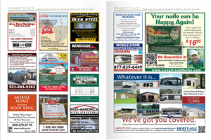 Advertisement Design by Anna  for this project | Design: #2905150