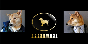 Logo Design by IMAGE SOLUTION