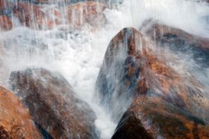 Photography by Larah McElroy
