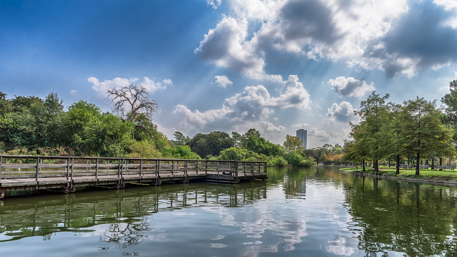 Photography by Manson Nellum for DesignCrowd (Community Contests) | Design #19720144