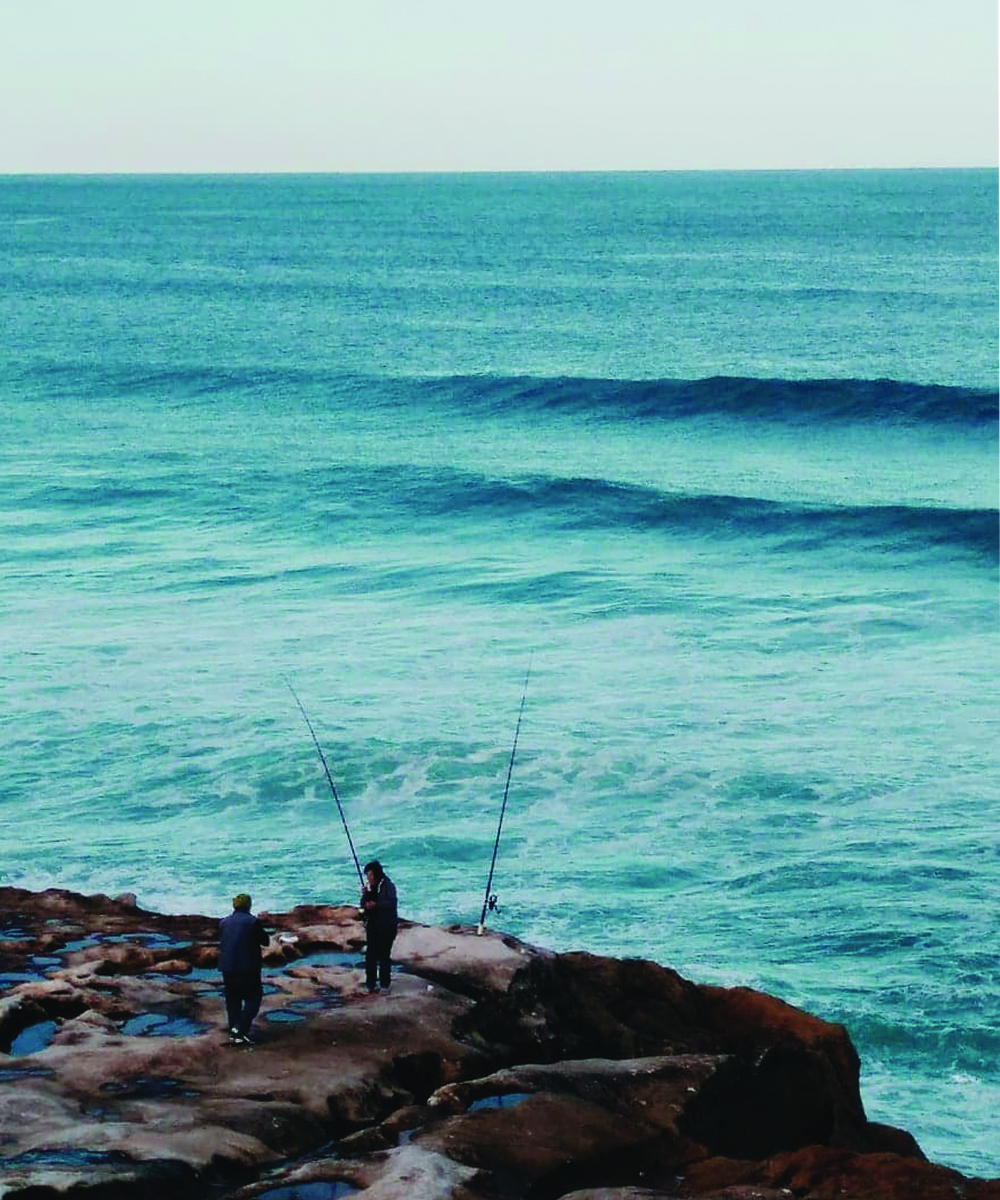 Photography by viswesh_warrier for DesignCrowd (Community Contests) | Design #19868578