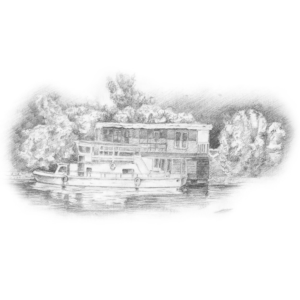 Illustration Design by Essamfn