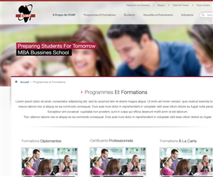 Web Design by Pabloravel for this project | Design: #2916854