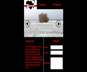 Web Design by afzal214