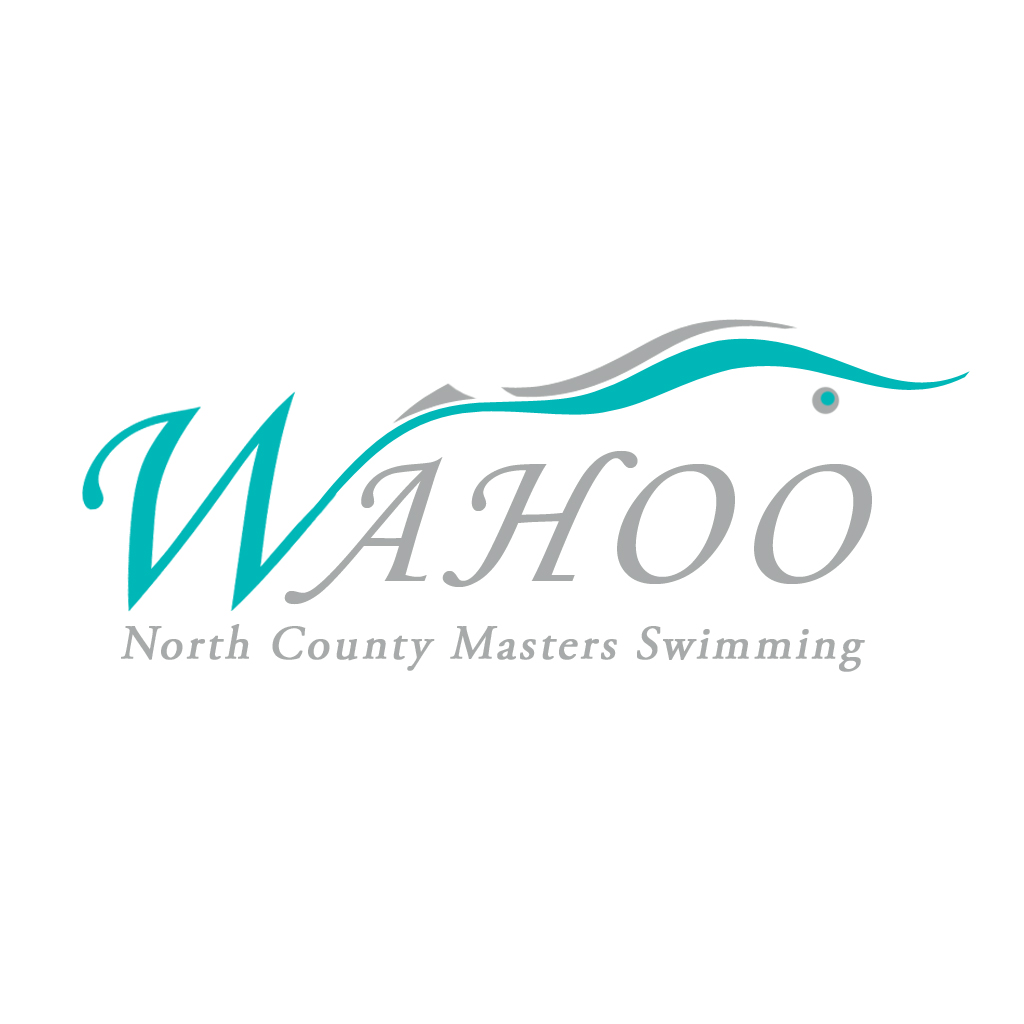 Diseño de Logo por Admir Mazalovic para Palm Beach Masters | Diseño #2929096