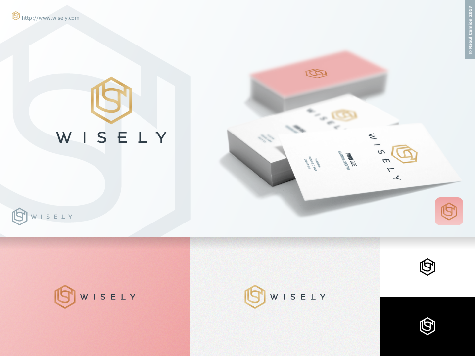 Logo Design by Raoul Camion for this project | Design #19748669