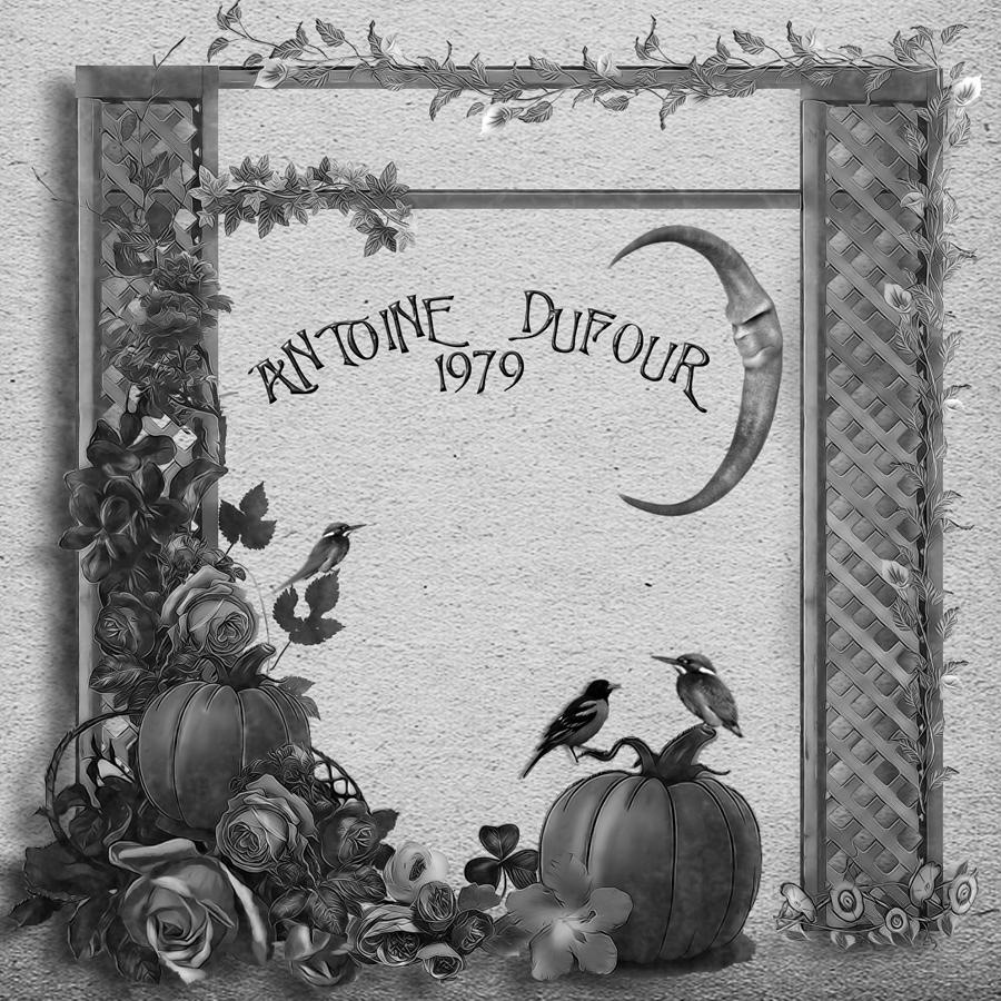 CD Cover Design by Vanes7 for this project | Design #2907347