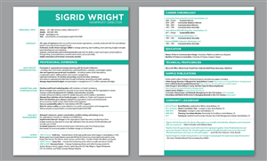 Resume Design by Djica for this project | Design: #2929165