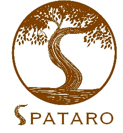 Logo-Design von sdrum für dieses Projekt | Design: #2905042