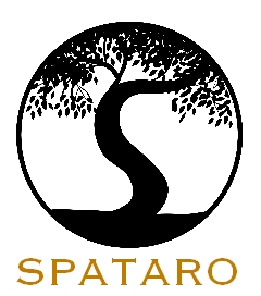 Logo Design by sdrum for this project | Design #2905045