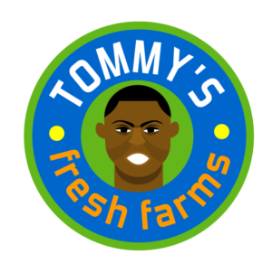 Logo Design by Thomasdesign