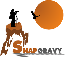Logo Design by johny_n