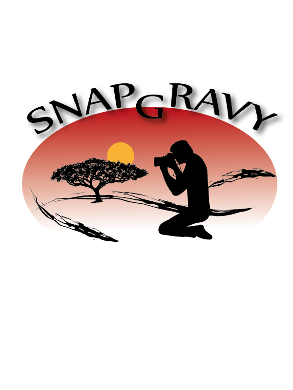 Logo Design by Dobi for GOX NEW MEDIA, INC. | Design #2913948