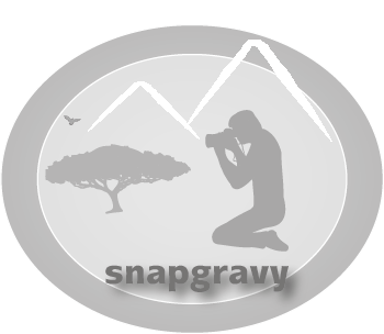 Logo Design by Dobi for GOX NEW MEDIA, INC. | Design #2922547