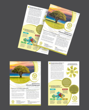 Flyer-Design von DIGIPIX für Hamway Software Solutions | Design: #19734384