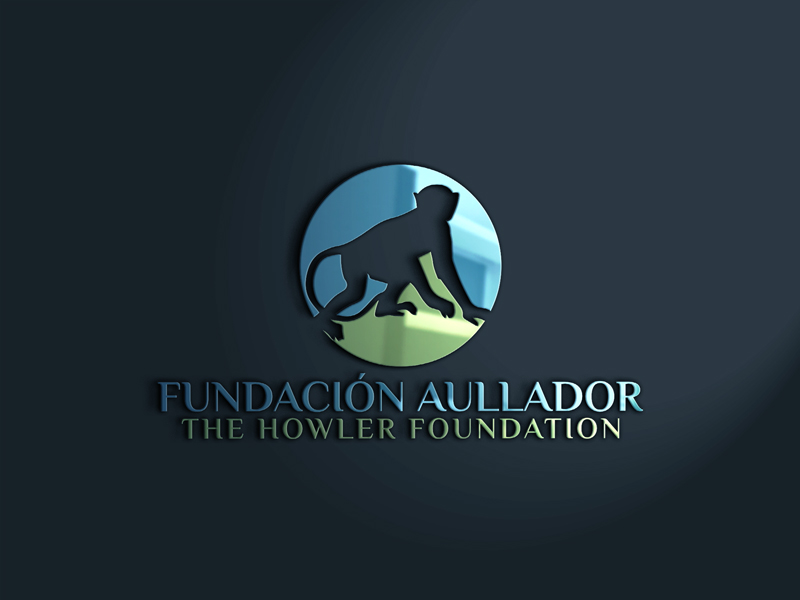 Logo Design by Madara Uchiha for this project | Design #19716257