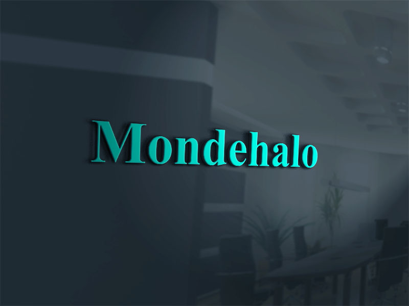 Logo Design by axel xhone 2 for HALO Design | Design #19744152