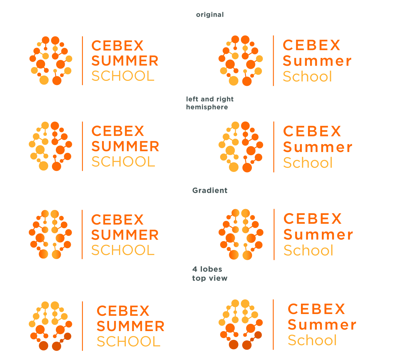 Logo Design by AdrianC for Centrum behaviorálních experimentu (CEBEX), z.ú. | Design #19756409