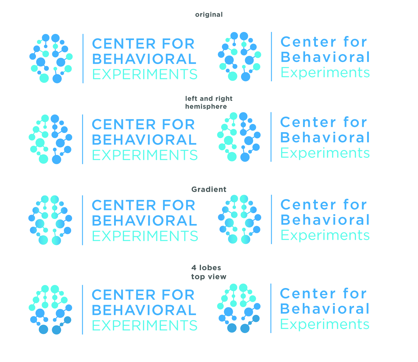 Design de Logo par AdrianC pour Centrum behaviorálních experimentu (CEBEX), z.ú. | Design #19756410