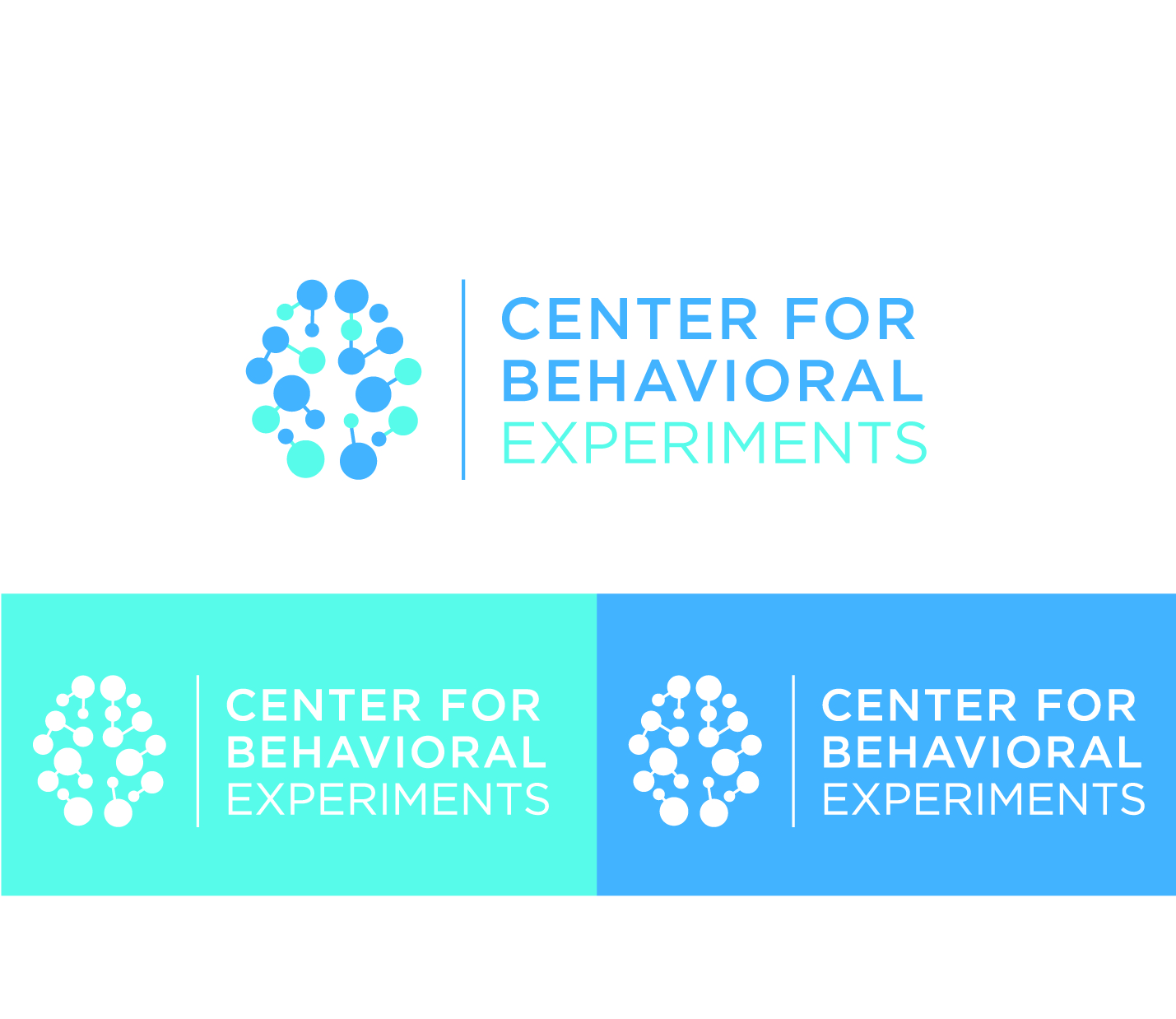 Logo Design by AdrianC for Centrum behaviorálních experimentu (CEBEX), z.ú. | Design #19756411
