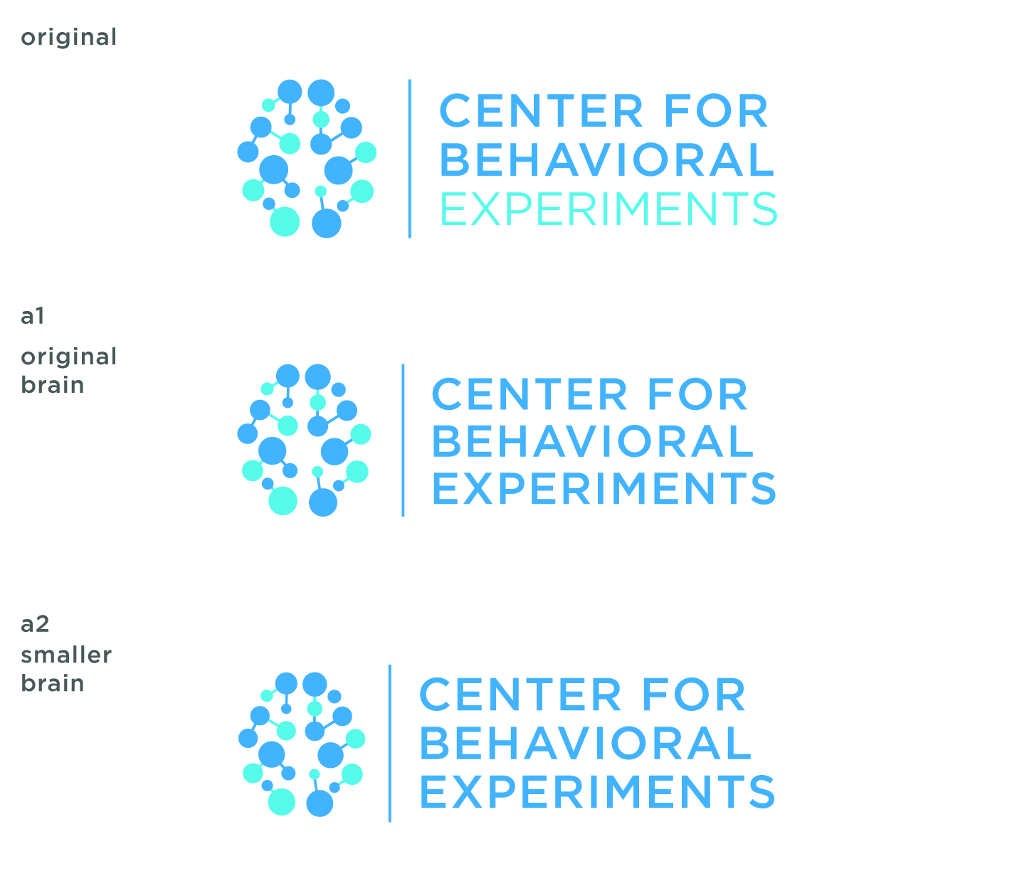 Logo Design by AdrianC for Centrum behaviorálních experimentu (CEBEX), z.ú. | Design #19766087