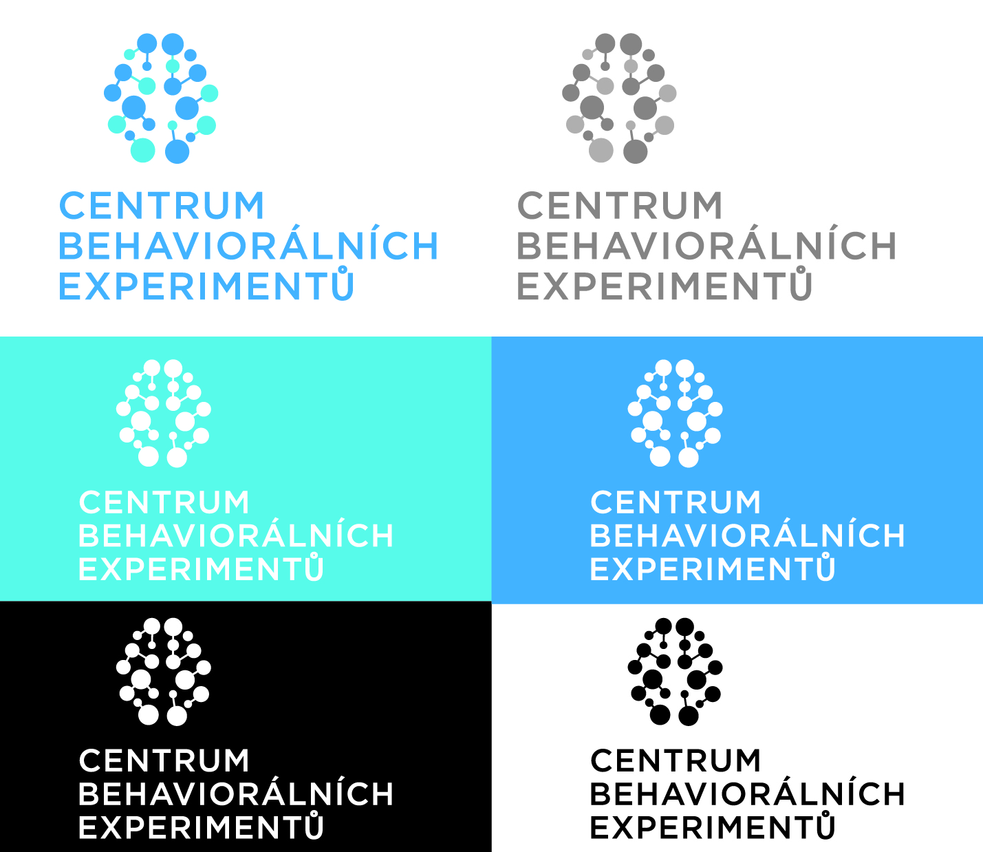 Logo-Design von AdrianC für Centrum behaviorálních experimentu (CEBEX), z.ú. | Design #19787828