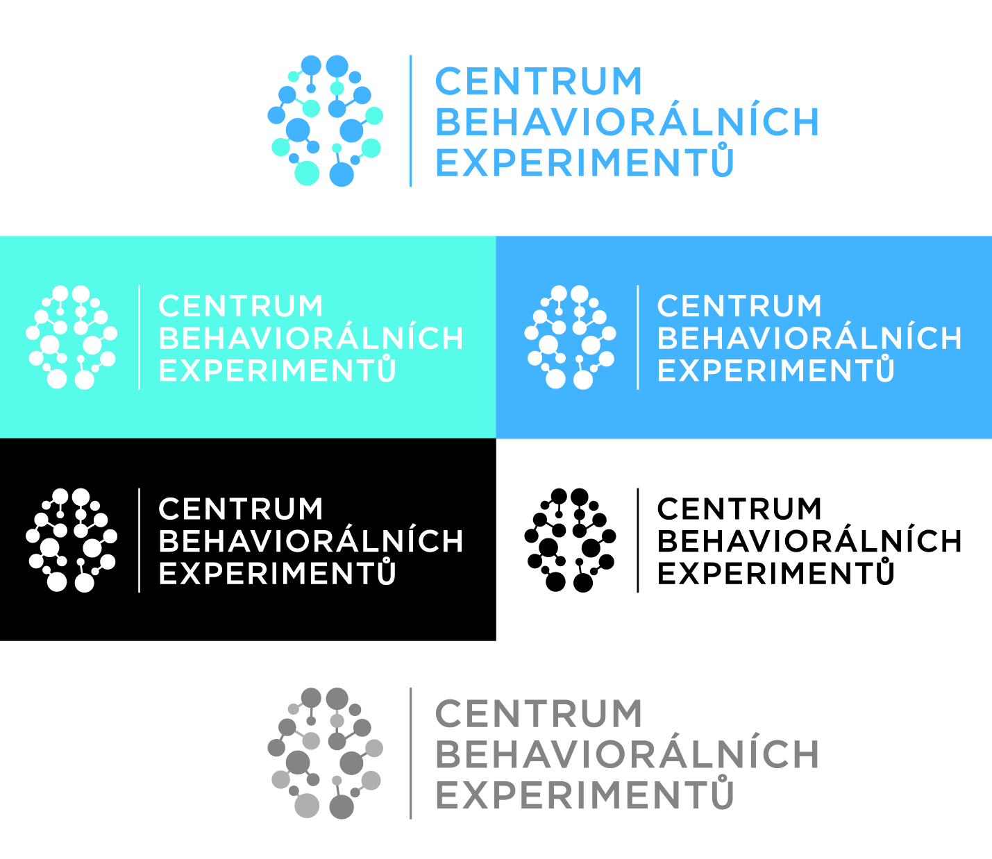 Logo Design by AdrianC for Centrum behaviorálních experimentu (CEBEX), z.ú. | Design #19787829