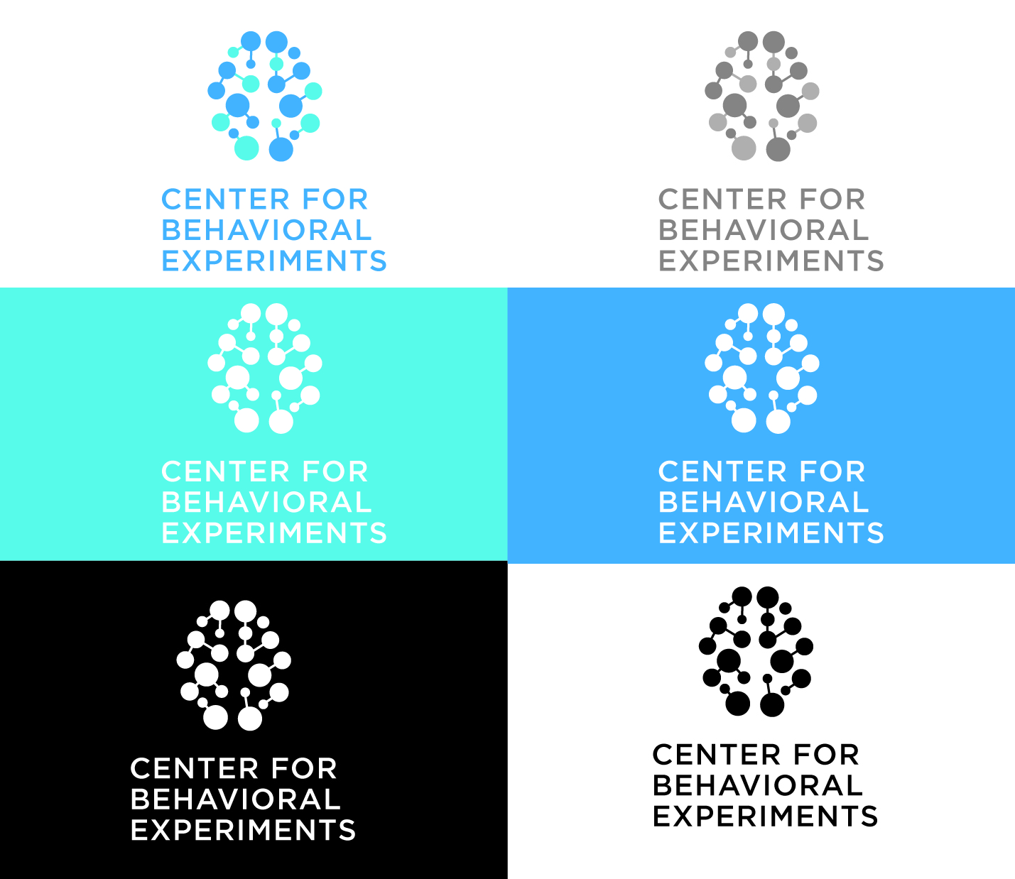 Logo Design by AdrianC for Centrum behaviorálních experimentu (CEBEX), z.ú. | Design #19787834