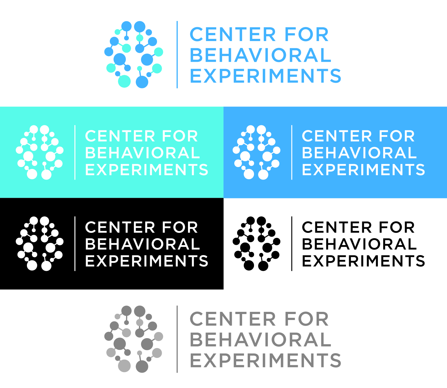 Logo Design by AdrianC for Centrum behaviorálních experimentu (CEBEX), z.ú. | Design #19787835