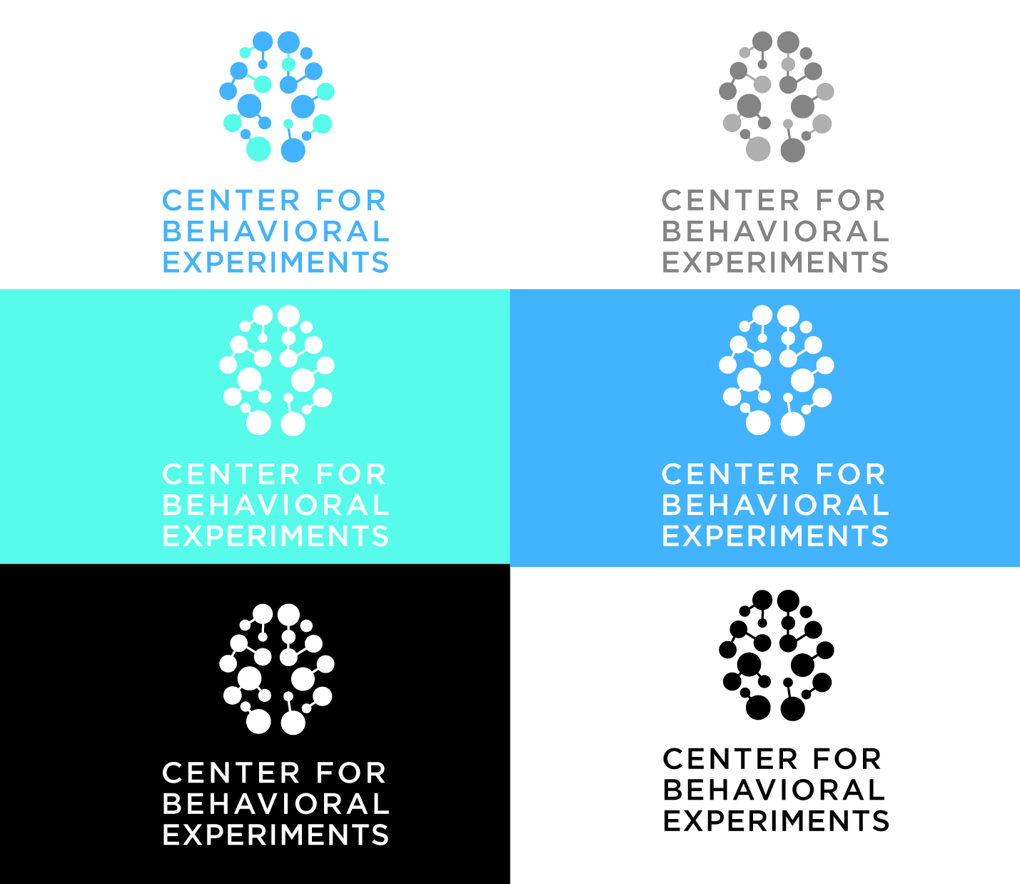Logo Design by AdrianC for Centrum behaviorálních experimentu (CEBEX), z.ú. | Design #19795627