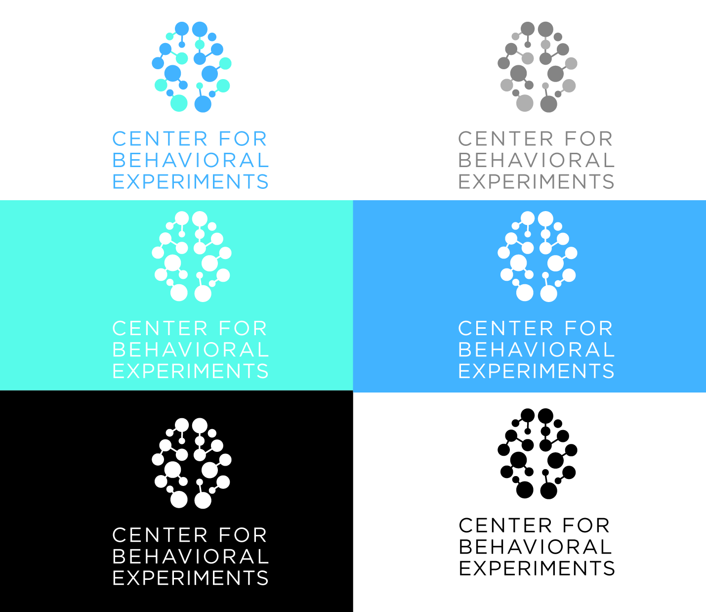 Logo Design by AdrianC for Centrum behaviorálních experimentu (CEBEX), z.ú. | Design #19795628