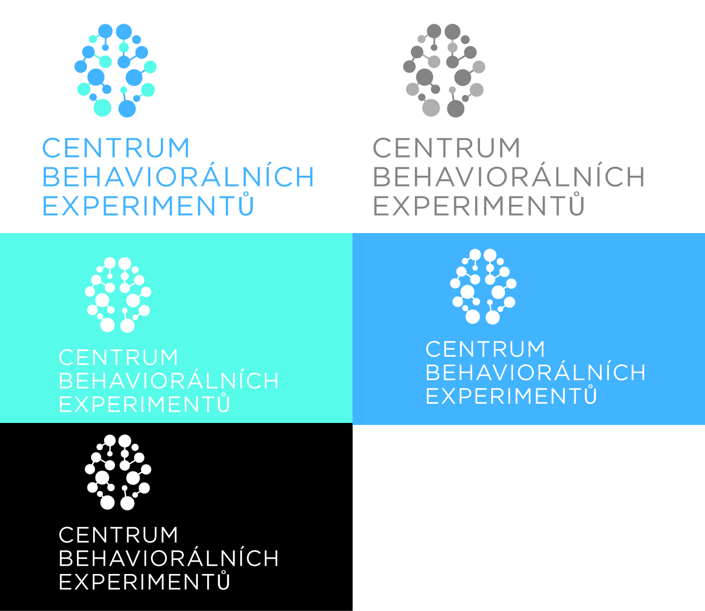 Logo Design by AdrianC for Centrum behaviorálních experimentu (CEBEX), z.ú. | Design #19795656