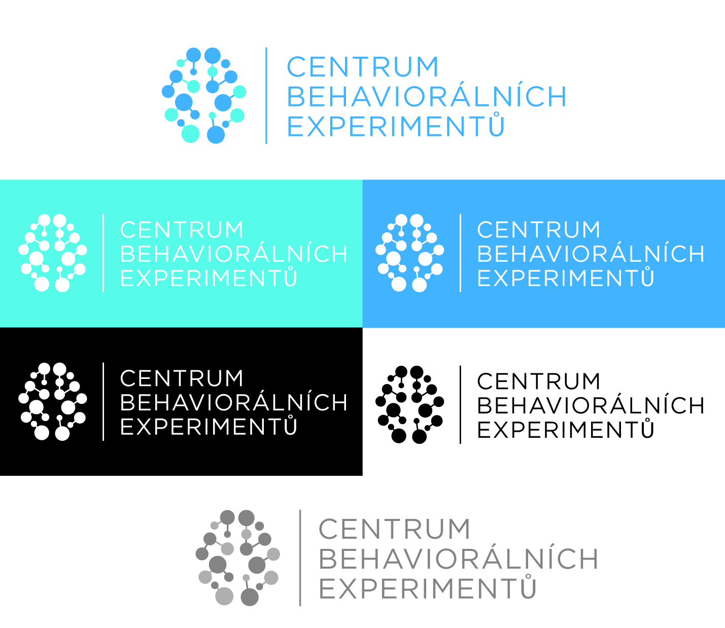 Logo Design by AdrianC for Centrum behaviorálních experimentu (CEBEX), z.ú. | Design #19795657