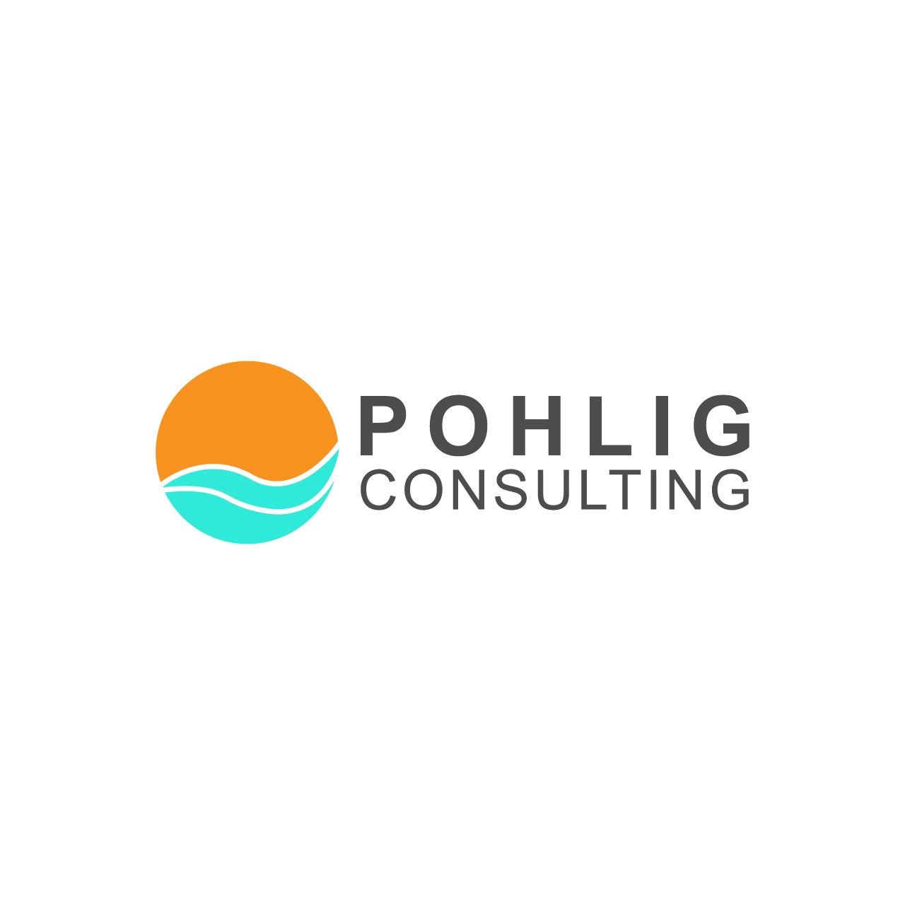 Logo Design by VinVick Design for Pohlig Consulting | Design #19719265