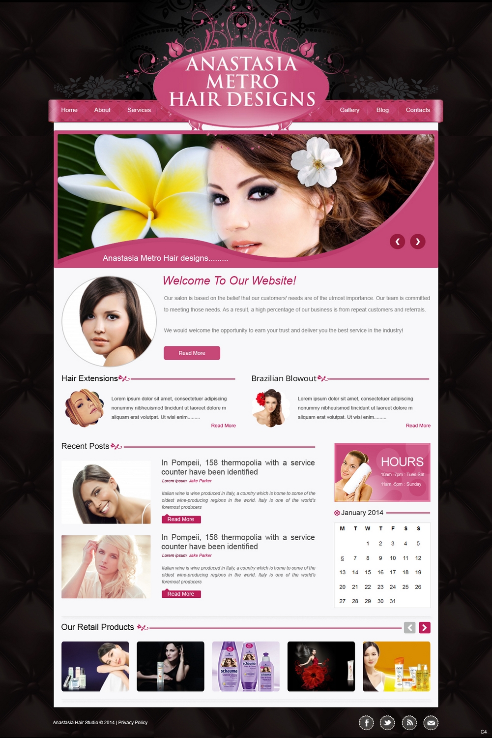 WordPress-Design von pb für Anastasia Metro Hair Designs Inc | Design #2911382