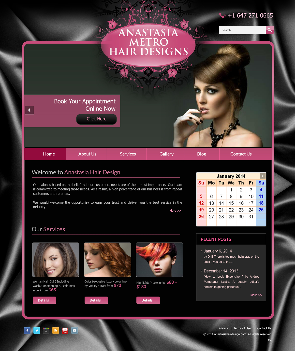 Wordpress Design by pb for Anastasia Metro Hair Designs Inc | Design #2911391