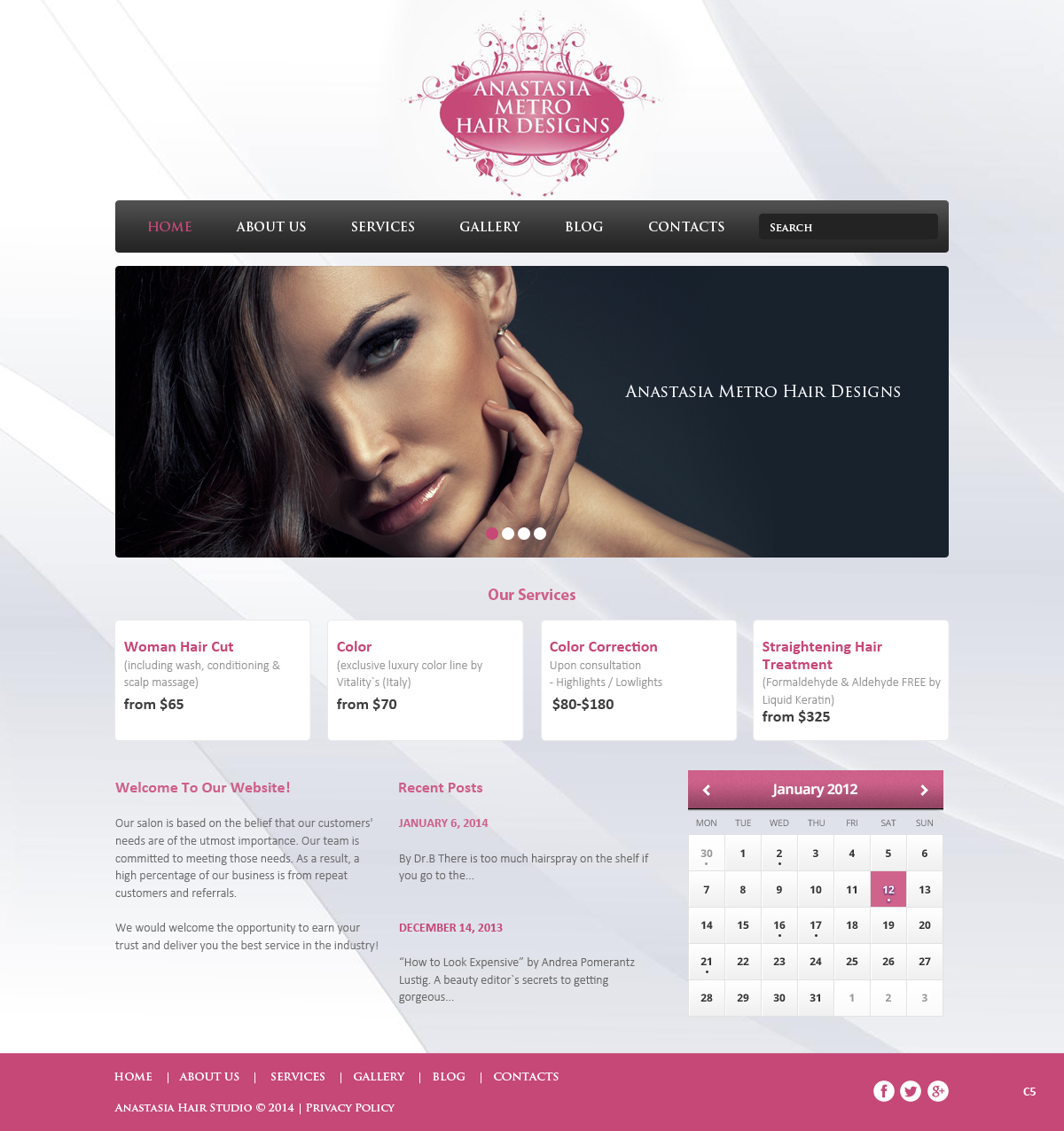 WordPress-Design von pb für Anastasia Metro Hair Designs Inc | Design #2915782