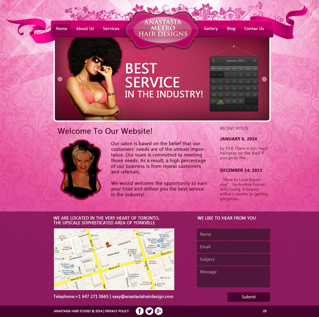 WordPress-Design von pb für Anastasia Metro Hair Designs Inc | Design #2915784