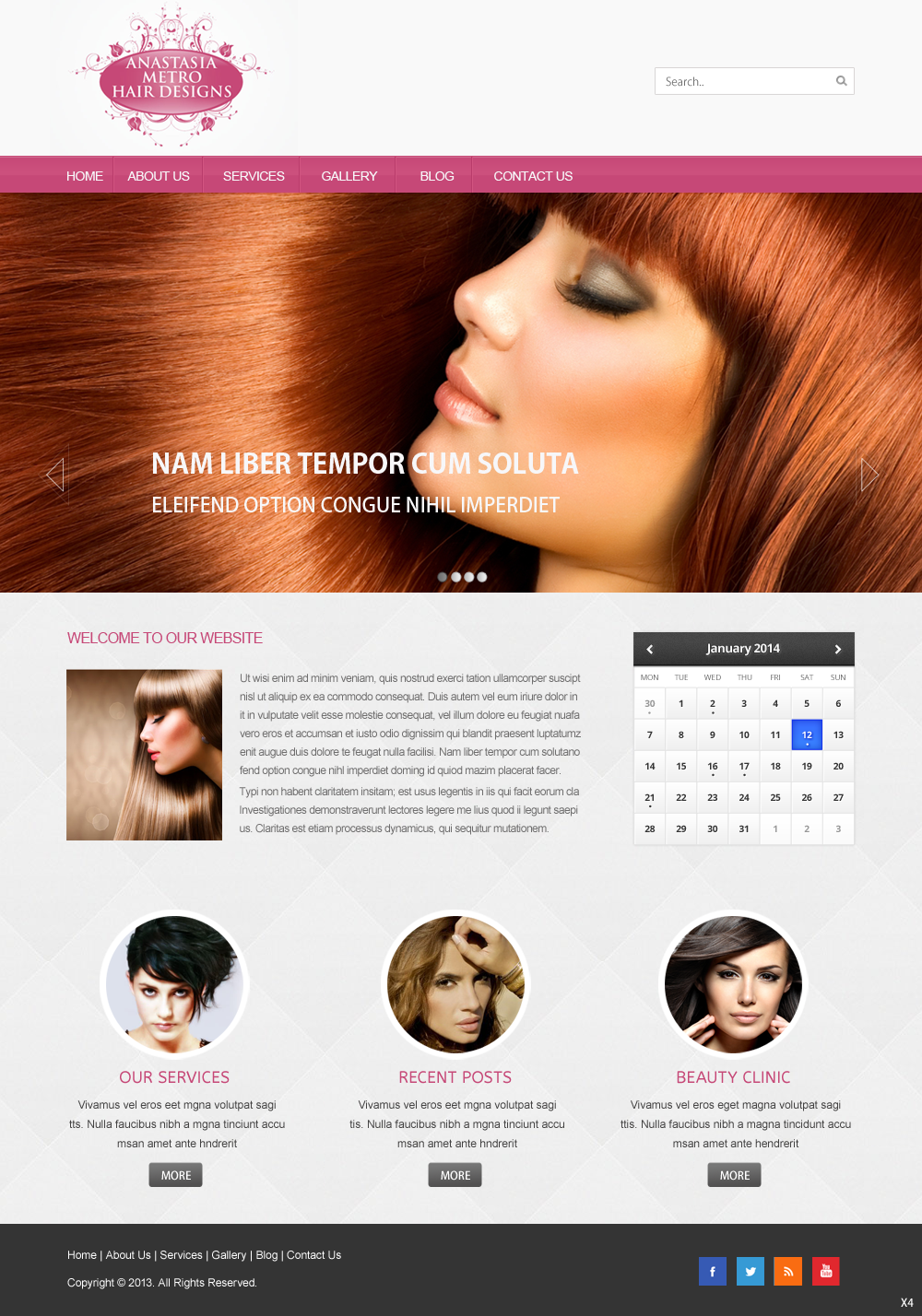 Wordpress Design by pb for Anastasia Metro Hair Designs Inc | Design #2915788