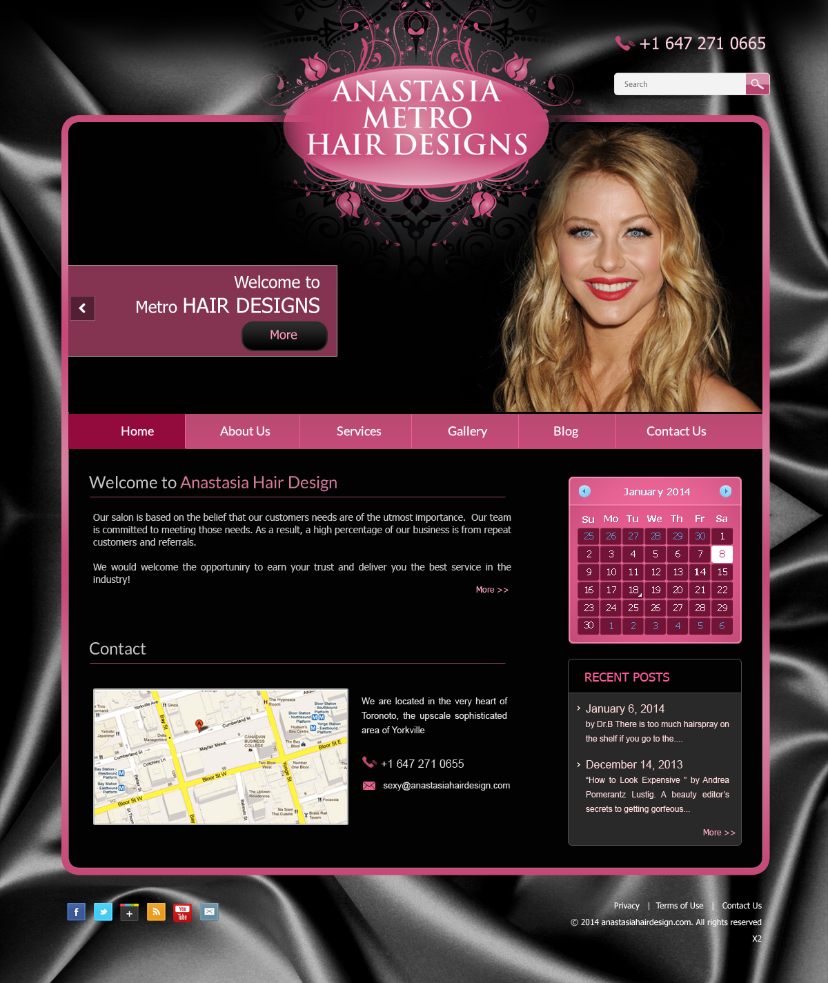 Diseño Wordpress por pb para Anastasia Metro Hair Designs Inc | Diseño #2923304