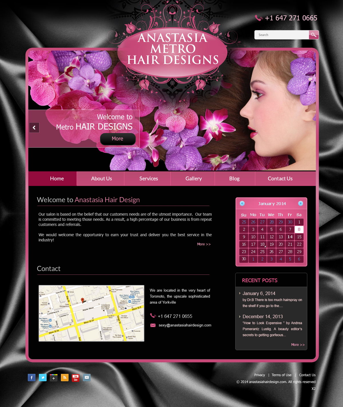 Diseño Wordpress por pb para Anastasia Metro Hair Designs Inc | Diseño #2935264