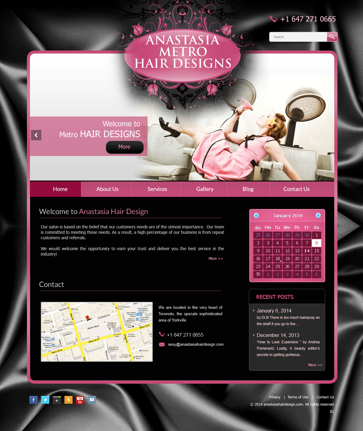 Wordpress Design by pb for Anastasia Metro Hair Designs Inc | Design #2935272
