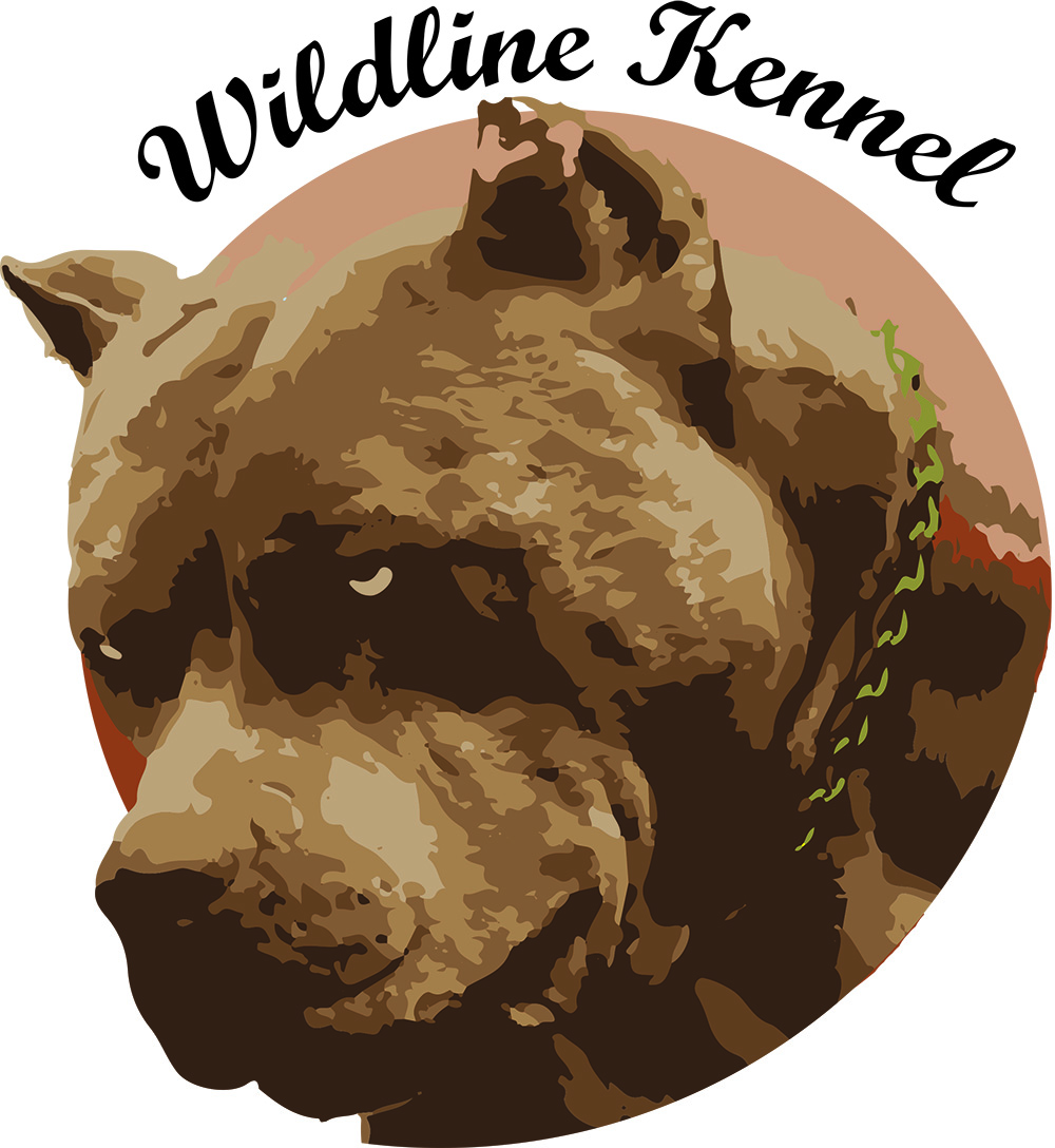 Logo Design by Jecu770 for this project | Design #19756198