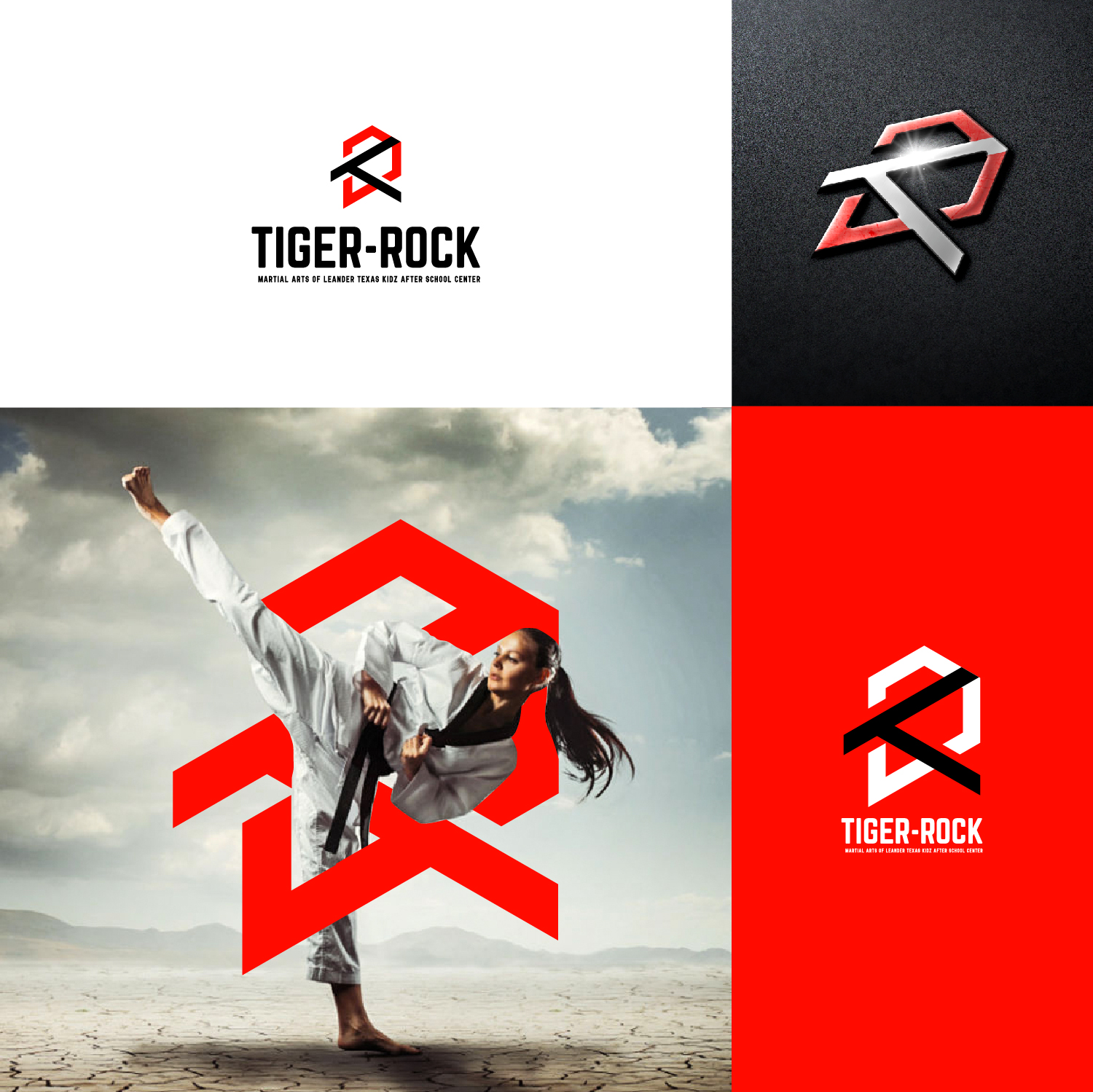 Elegant, Playful Logo Design for TigerRock Martial Arts of Leander